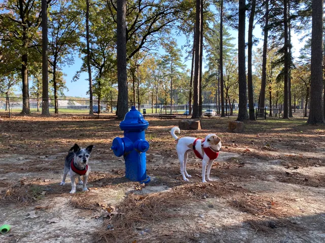 Burns Park Dog Park