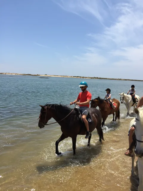 Tavira Equestrian Tourism