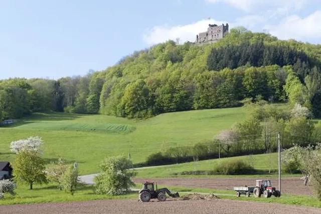 Hohengeroldseck Castle