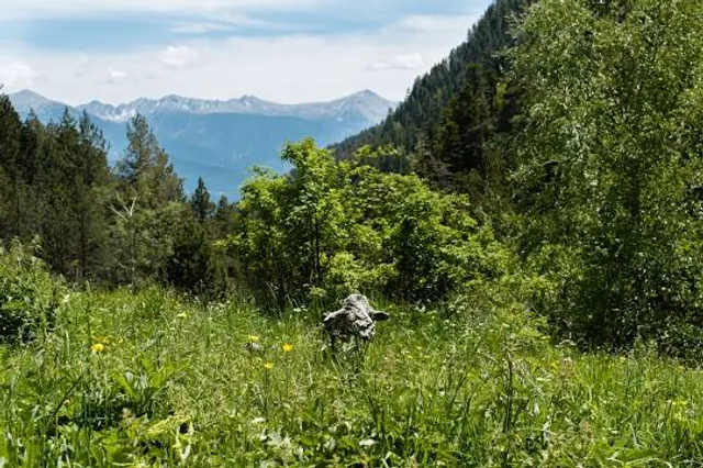 PARC NATUREL DE VALLS DEL COMAPEDROSA