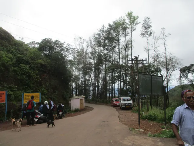 D.h.k.fruits and corns