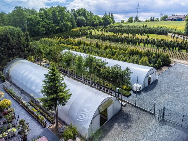 Szkółka Krzewów Ozdobnych Marcin Mojeścik Drimgard