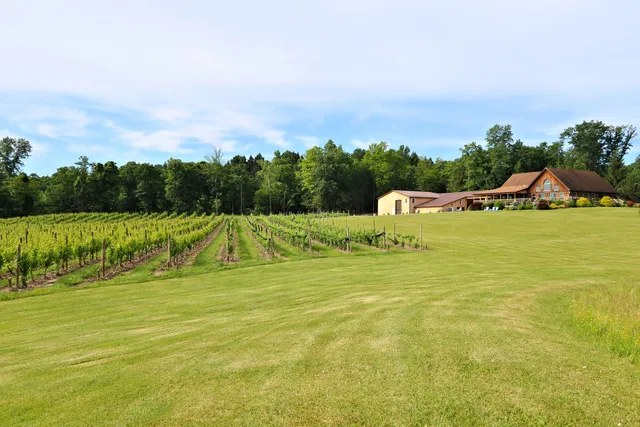 Buttonwood Grove Winery