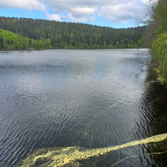 Vorsperre Schönheiderhammer
