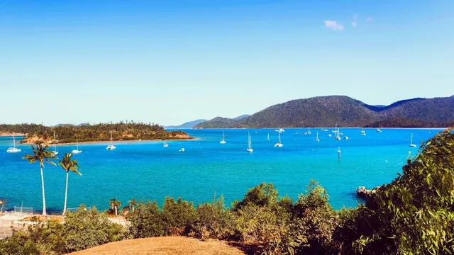Coral beach walking track