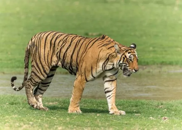 Karimnagar Deer Park