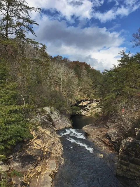 Lula Lake Land Trust