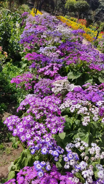 Sukiti Buddha Garden