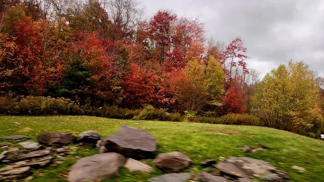 Fromer Market Gardens