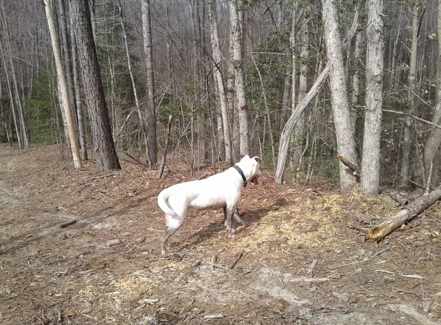 R & D Family Campground