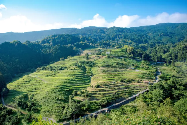 Nakada Rice Terraces