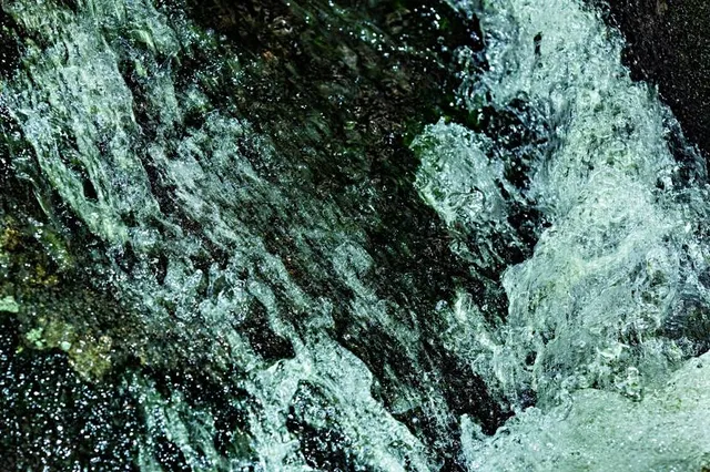 Andrew Brook Trailhead