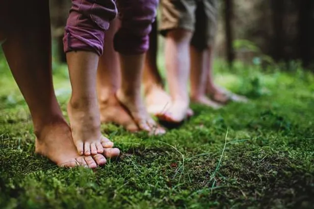 William Cullen Bryant Homestead
