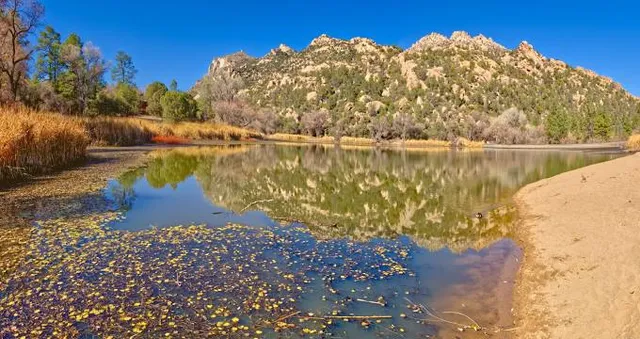 Prescott National Forest