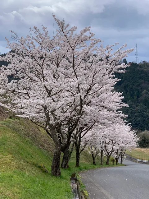 Mochigase Sports Park