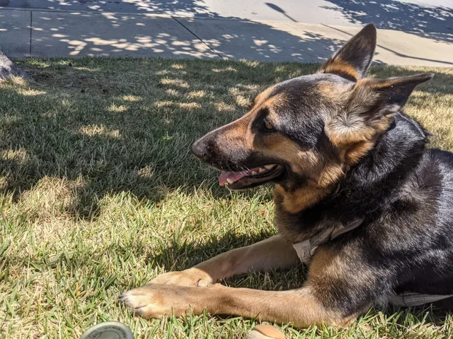 Monterey County Parks Department