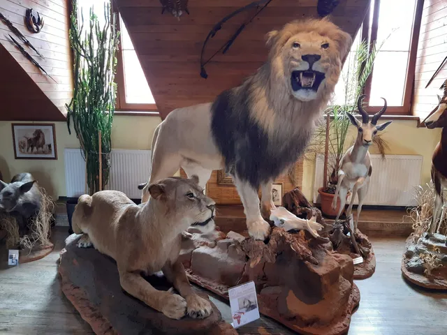 Africké muzeum Safari