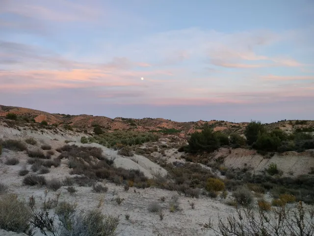 photo-3