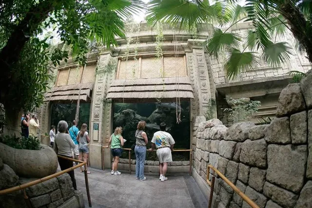 Shark Reef Aquarium at Mandalay Bay