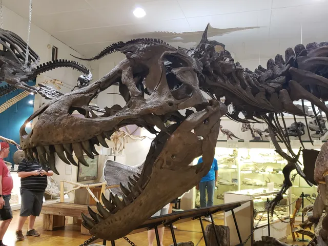 Black Hills Institute Of Geological Research