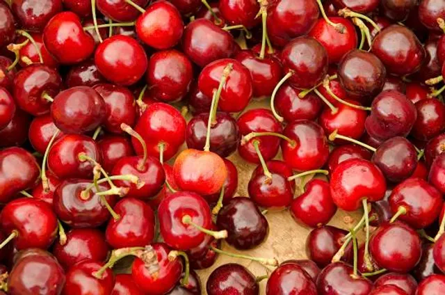 Portland Farmers Market - Office Location