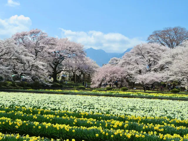 Otsuyama Jisso Temple