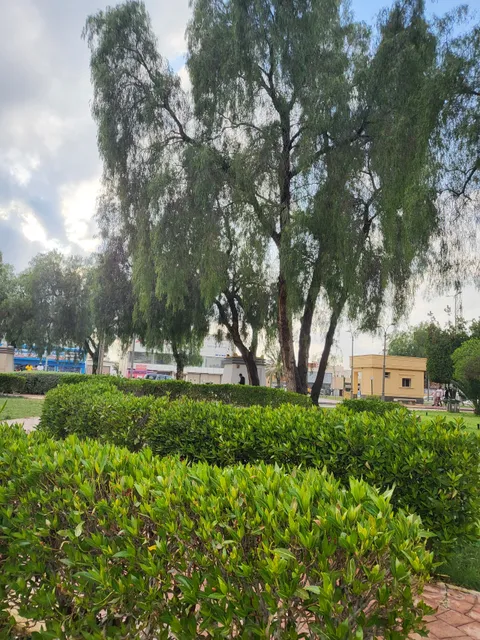 Family Green Park Khamis Mushaith