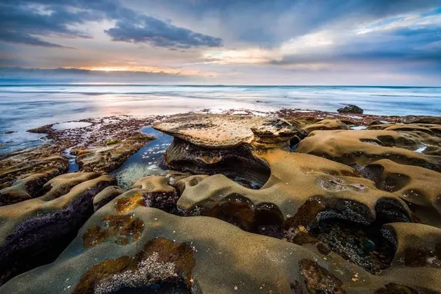 La Jolla Tide Pools