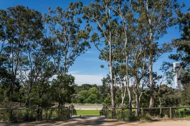 Parramatta Park