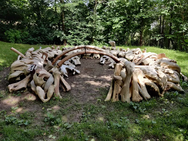 Museum of Malgré-Tout