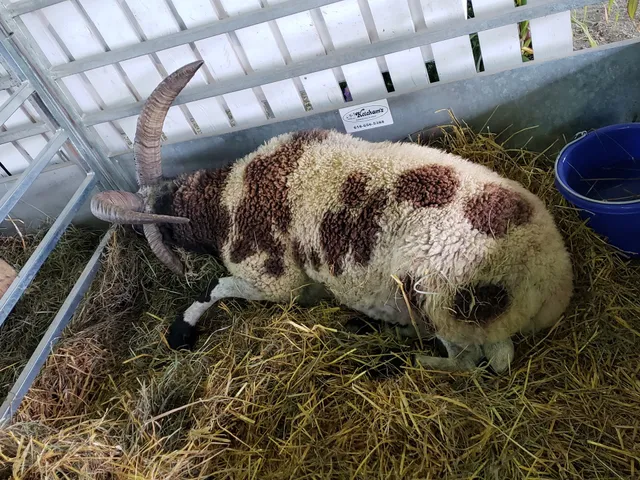 Hunterdon County Fairgrounds