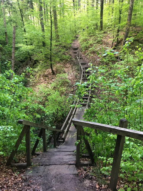 Premiumwanderweg Firstwaldrunde