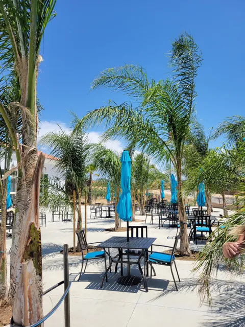 Julie's Dream Winery Distillery Vineyards