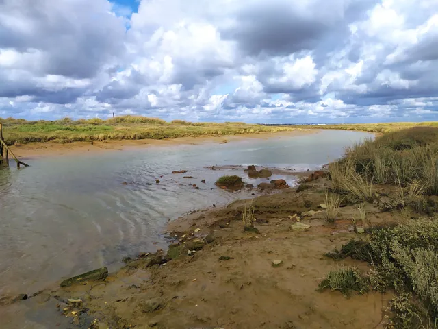 Puerto de Moguer o Muelle de la Ribera