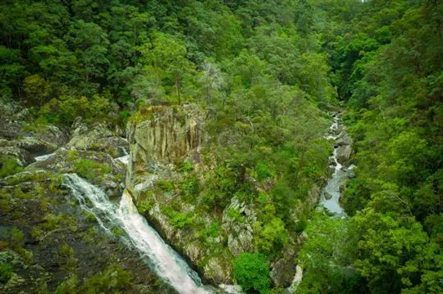 Conondale National Park
