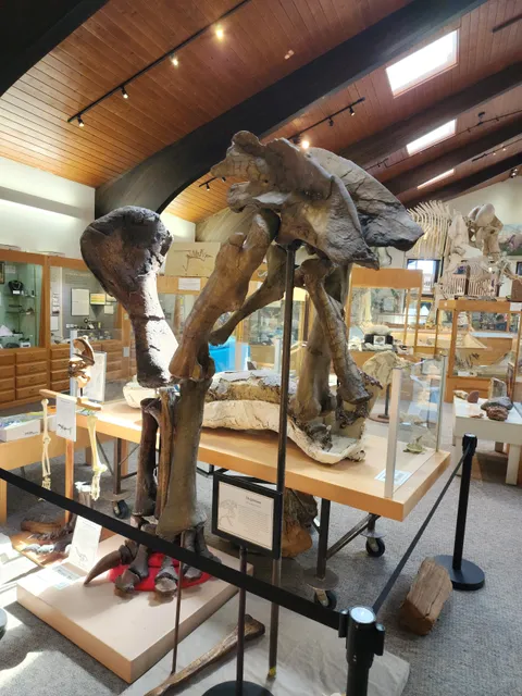 Tate Geological Museum at Casper College