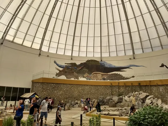 CD. JUÁREZ Rodadora