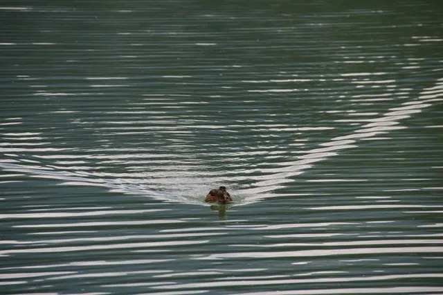 Naturschaupfad/Speicher Tassenbach