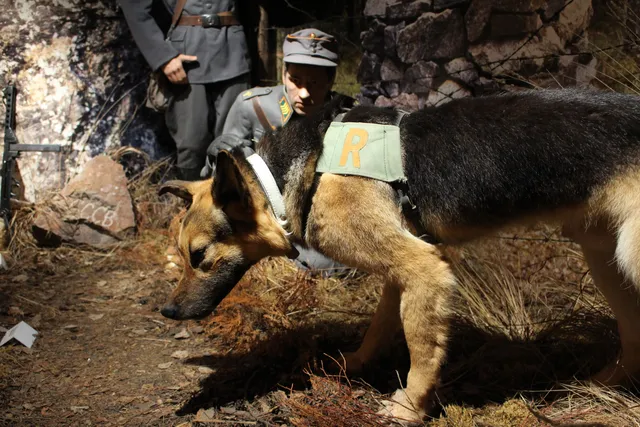 Imatra Border Museum
