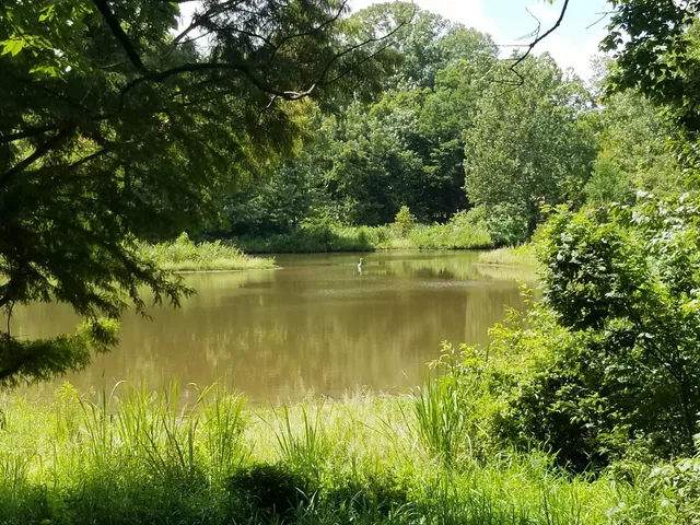AGFC Governor Mike Huckabee Delta Rivers Nature Center