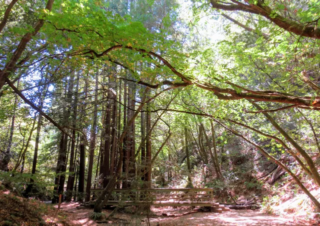 Baltimore Canyon Preserve