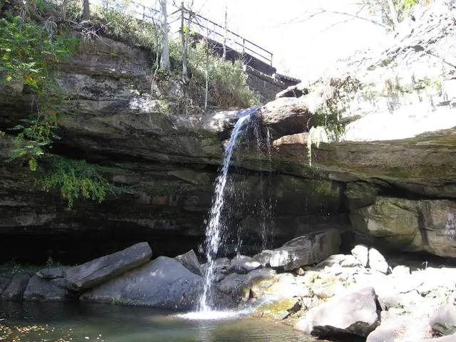 Homewood Falls