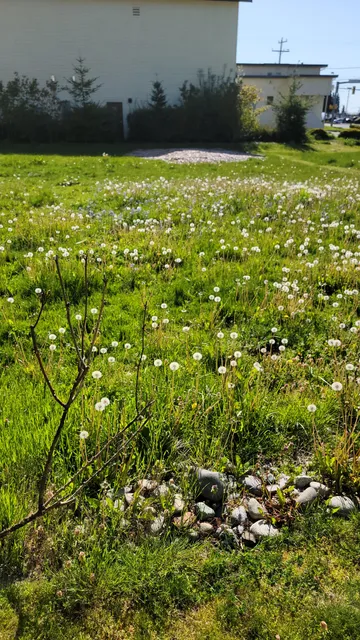 Shoreline Historical Museum