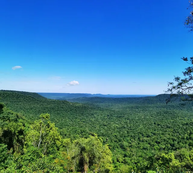 Municipio de Aristóbulo del Valle