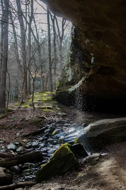 Ferne Clyffe State Park