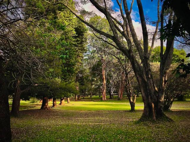 The Nairobi Arboretum
