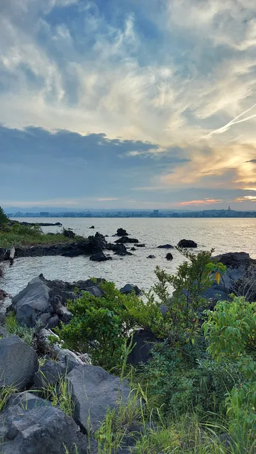 Sakurajima Volcanic Shore Park and Footbath