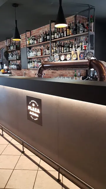 The Plaza De Carlos Ceriani Domenico Di