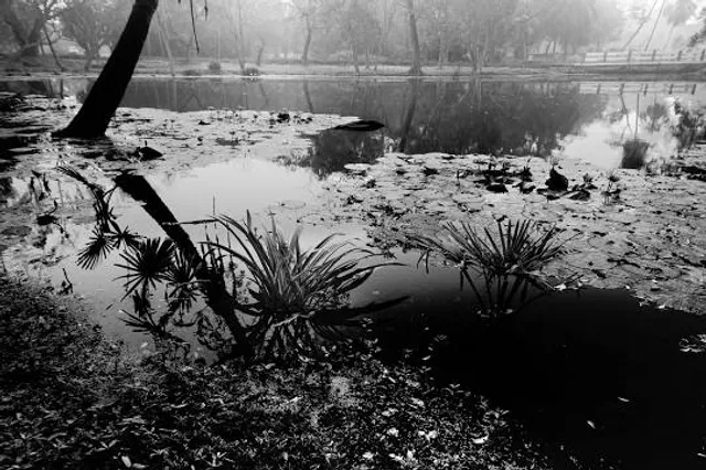 The City Park. march. Jozef Pilsudski