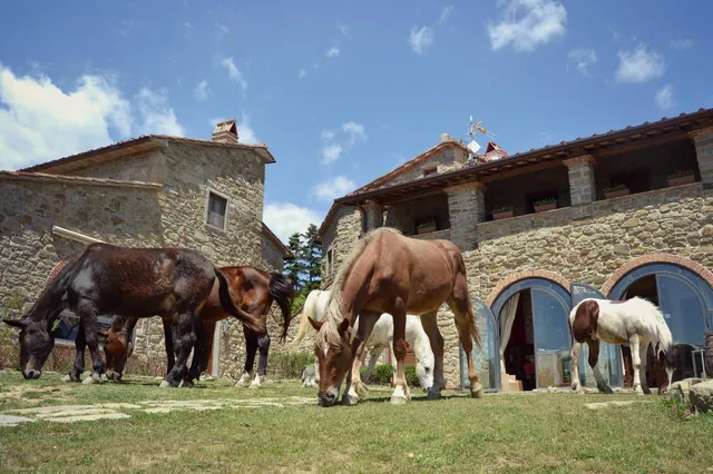 Antico Podere il Prato
